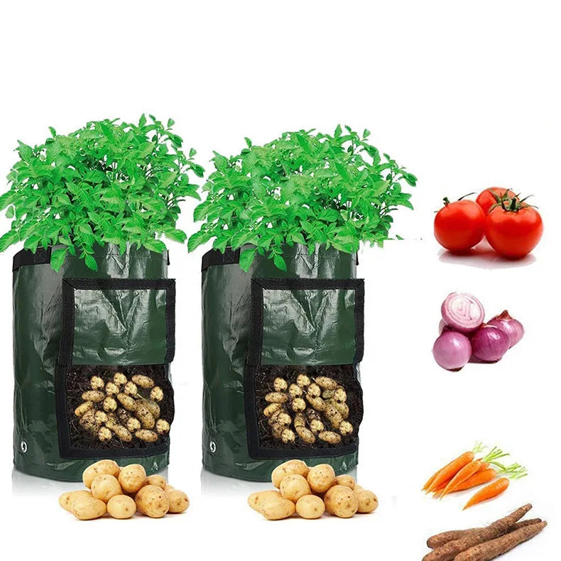 3 Gallon Potato Grow Bag — PE Fabric
DIY Vegetable Planter Pot for
Outdoor Garden Growing
