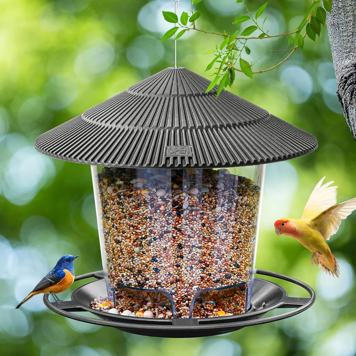 Automatic Hanging Hummingbird & Wild Bird Feeder — Outdoor Garden Courtyard
