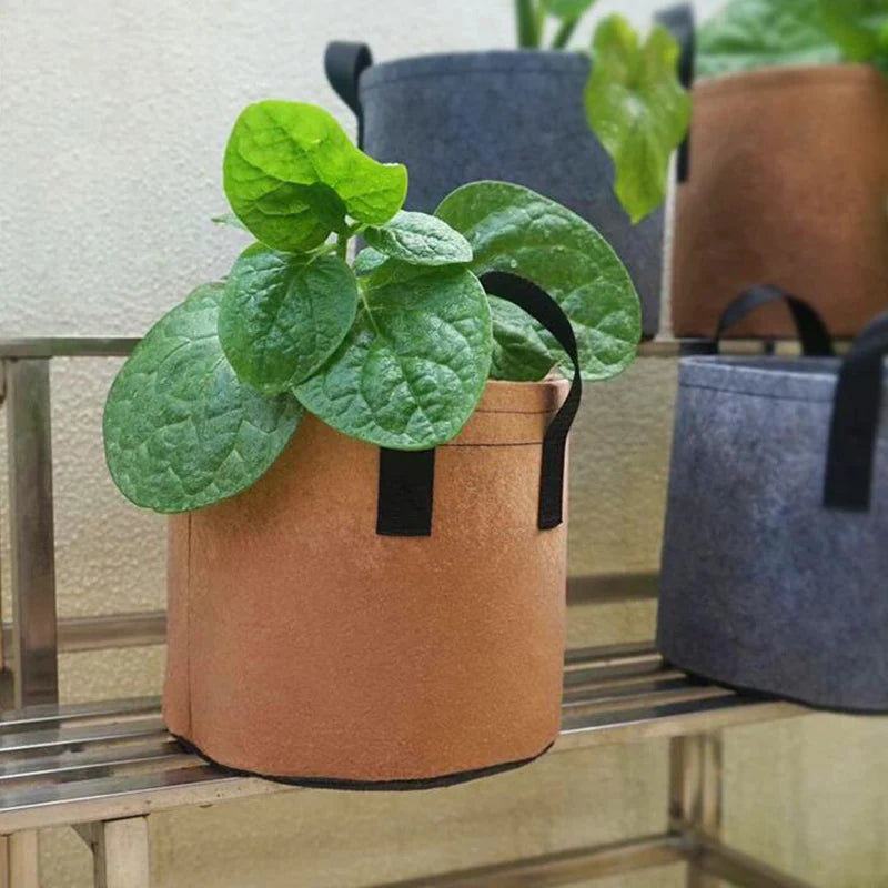 Fabric Grow Bags 2-10 Gallon —
Tomato, Potato & Fruit Plant Pots
for Outdoor Home & Garden Growing