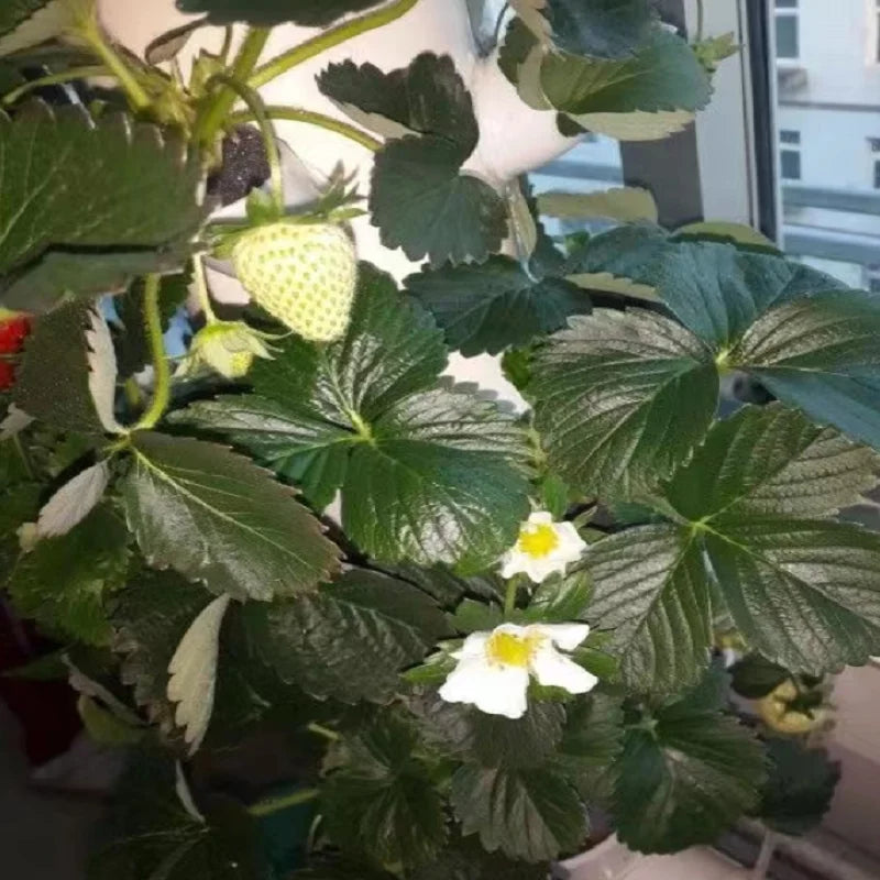 Vertical Hydroponic Growing Tower — DIY Balcony & Garden Greenhouse Vegetable Planter