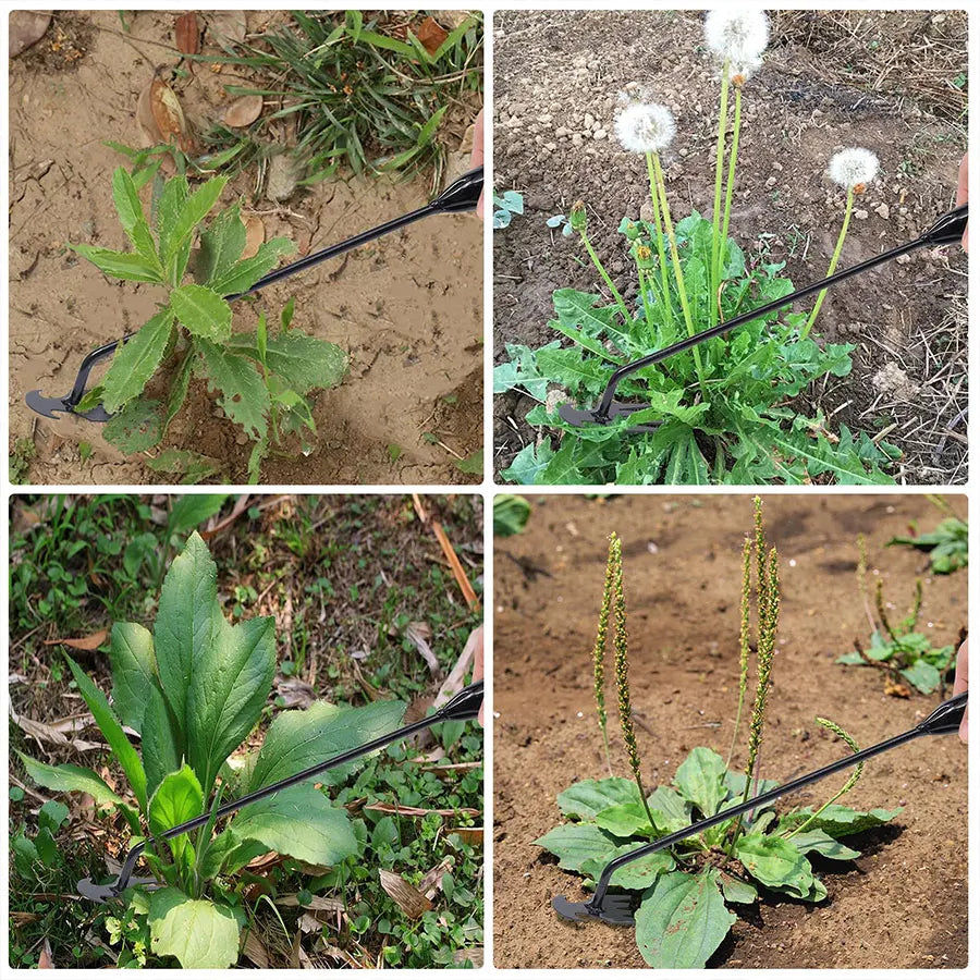 Garden Hoe Hand Weeding Tool — 
Manual Weed Removal for Lawn, 
Vegetable Patch & Garden Beds