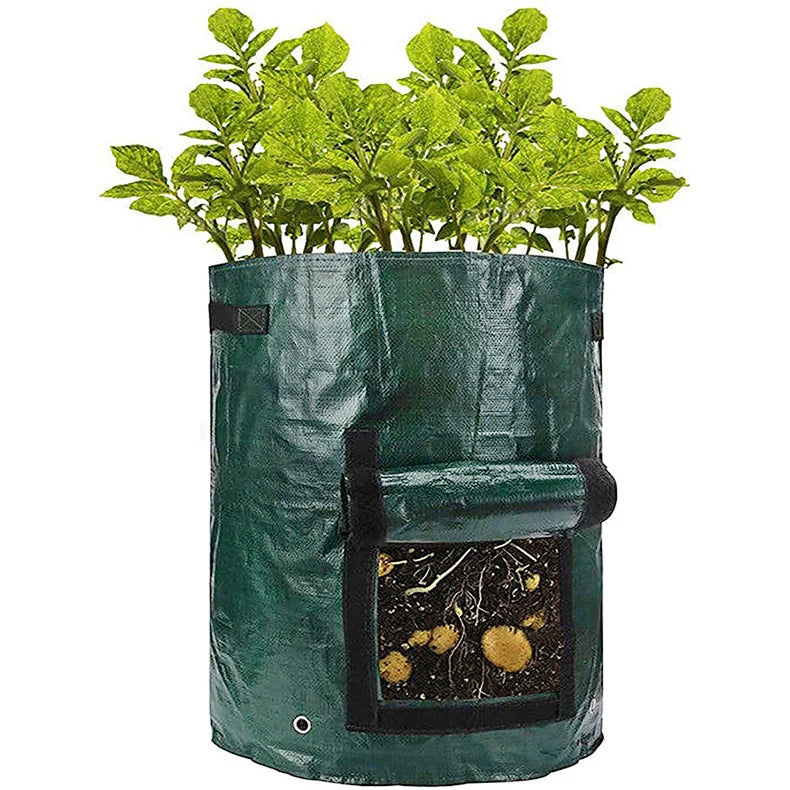 3 Gallon Potato Grow Bag — PE Fabric 
DIY Vegetable Planter Pot for 
Outdoor Garden Growing