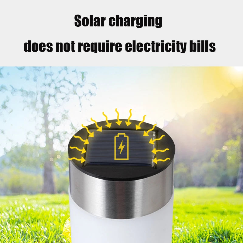 Solar Pathway Lights Waterproof — 
Auto On/Off Walkway Lights for 
Driveway, Yard, Lawn & Patio