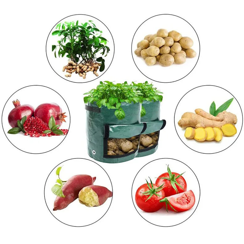 3 Gallon Potato Grow Bag — PE Fabric 
DIY Vegetable Planter Pot for 
Outdoor Garden Growing