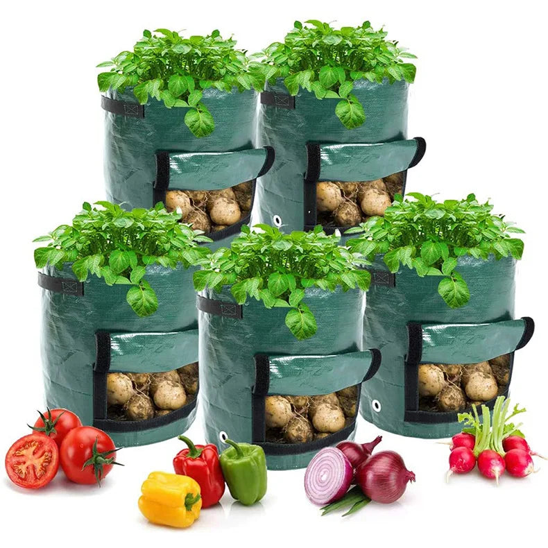 3 Gallon Potato Grow Bag — PE Fabric 
DIY Vegetable Planter Pot for 
Outdoor Garden Growing