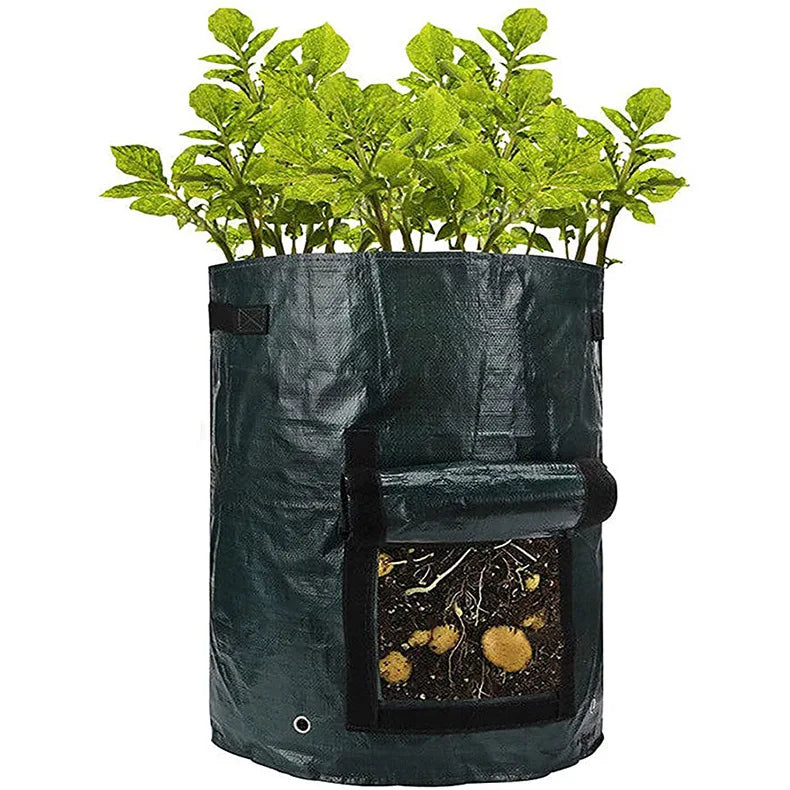 3 Gallon Potato Grow Bag — PE Fabric 
DIY Vegetable Planter Pot for 
Outdoor Garden Growing